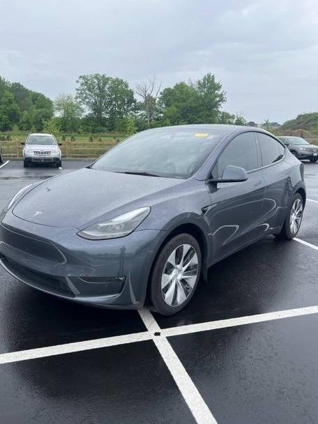 TESLA MODEL Y 2023 7SAYGDEE7PF825445 image